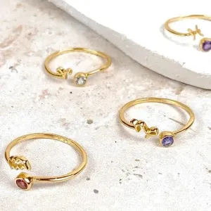 Adjustable Zodiac Rings