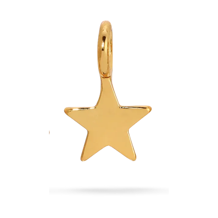 Charm Garden Star Charm