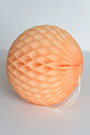Paper honeycomb in light peach -  Pastel wedding decor | Hanging decorations | Tissue paper pom poms