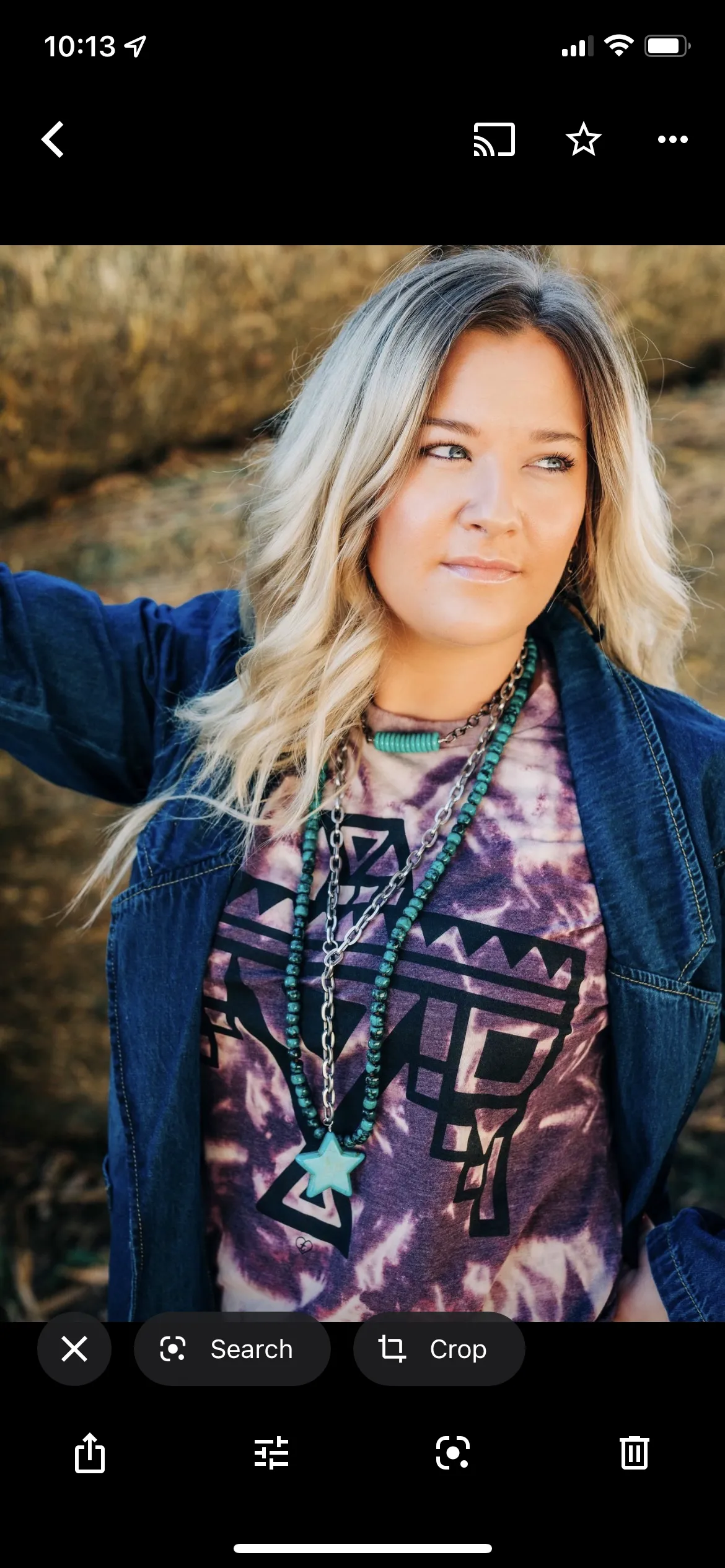 Single Strand Western Chic' Turquoise Necklace